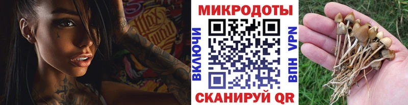 Псилоцибиновые грибы мухоморы  наркошоп  Тында 